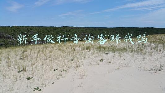大淘客怎么赚钱(想要玩内容导购赚佣金？盘点淘客赚钱的10大渠道分享给你，学起来)