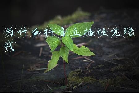 为什么抖音直播人数场观越来越少(发现一个现象，很多抖音直播间人数不足10人！元芳你怎么看？)