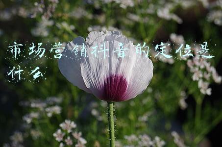市场营销抖音的定位是什么