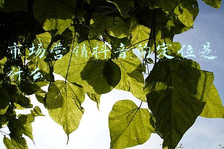 市场营销抖音的定位是什么
