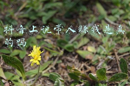 抖音上说带人赚钱是真的吗