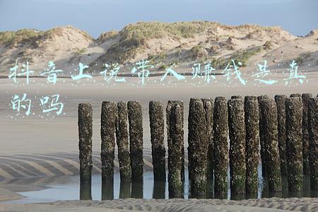 好奇说绘本怎么赚钱(原创绘本编辑的喜与忧：创造才是最快乐的)