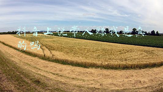 果蜜说电商平台赚钱吗(抖音电商“冬季山货节”助销547.3万单农货，一线城市消费者成农特产购买主力)