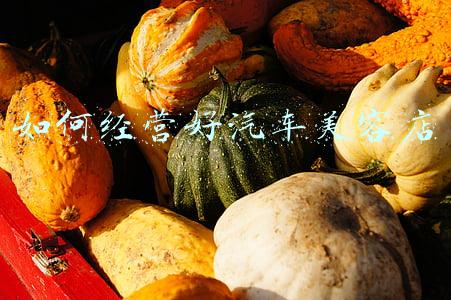 汽车美容店经营方案,汽车美容店经营方案大全