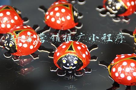 抖音营销推广小程序