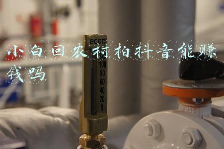 小白镜头适合拍什么(穷人三宝，推荐摄影初级爱好者的3只入门镜头)