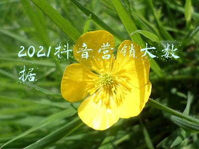 2021抖音营销大数据