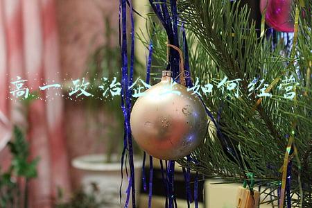 高中政治企业的经营战略教学设计：高中政治企业的经营战略