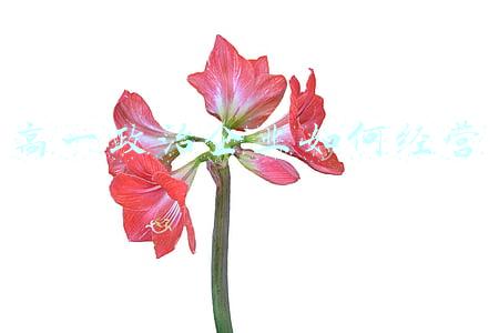 企业成功的原因高一政治 企业取得成功的因素高中政治