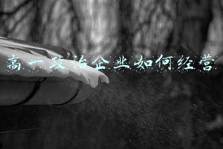 企业如何经营成功政治-企业如何正确经营政治
