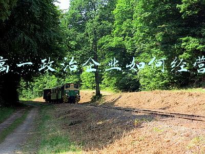 如何学好高一政治(如何学好高一政治的方法和技巧)