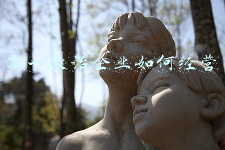 高一政治必修二电子书《高一政治必修二电子书经济与社会》