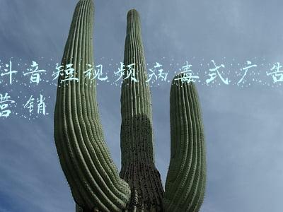 手机中病毒弹广告(简单四步，屏蔽手机应用广告！)