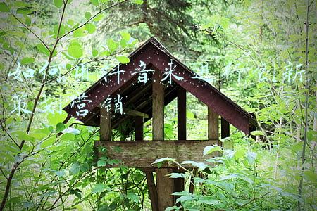 高校进行联谊策划案(大学生部门联谊活动策划范文)