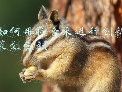 促进社会 来进行(冬奥筹办促进社会发展)