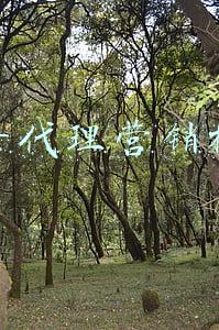 抖音渠道代理商(抖音广告合作方式怎么做?抖音广告投放合作代理商有哪些?)