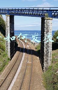 抖音如何发长视频(抖音2021年度报告在哪里怎么看 抖音年度报告生成视频方法)