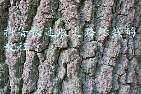 中级会计教程电子版(中级会计实务，经济法电子版教材，还有教材锦囊送给您)