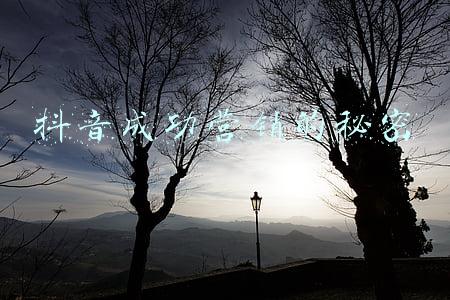 抖音成功营销的秘密