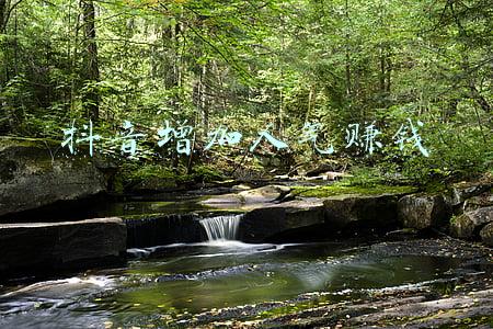 抖音直播增加人气(如何提升抖音直播间人气？一定要学的3种抖音直播话术)