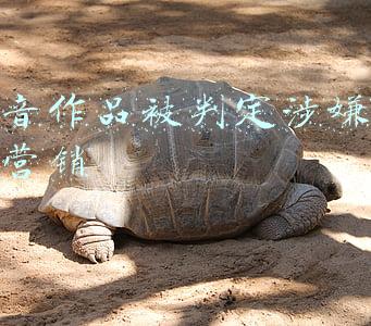 抖音作品被判定涉嫌广告营销