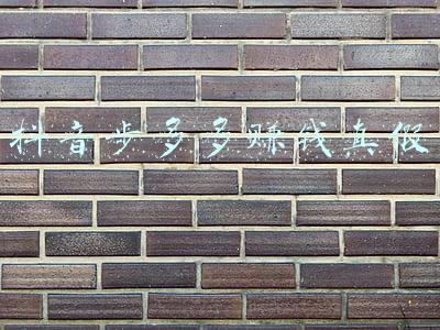 抖音步多多赚钱真假