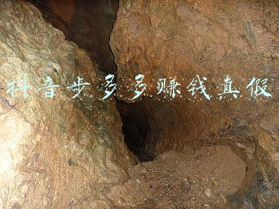 抖音步多多赚钱真假