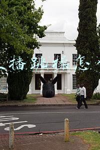 抖音直播靠什么赚钱(抖音要怎么才可以直播，2018抖音开直播，主播赚钱攻略！)