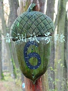 抖音测试号赚钱