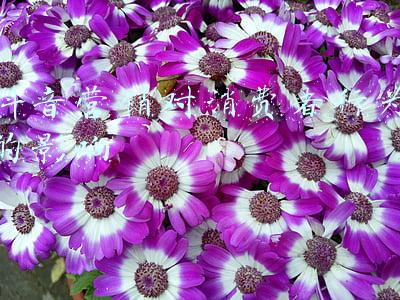 抖音消费者行为分析(抖音电商，如何用「热爱」创造一个打动人心的年货节)