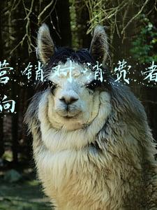 消费者行为与市场营销(学界、业界聚焦数字化时代市场营销：研究消费者 做深品牌)