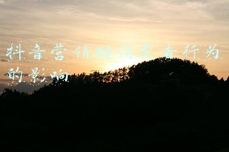 消费者行为与营销战略(公司和营销战略：合作建立客户关系)
