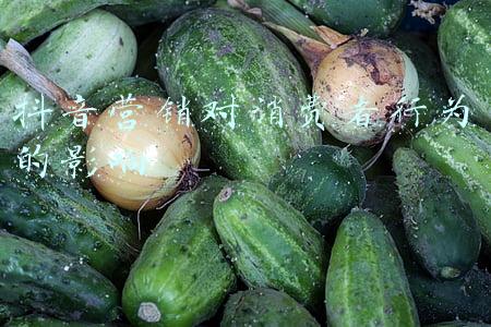 消费者行为与企业营销(《认识顾客》顾客行为与市场营销战略)