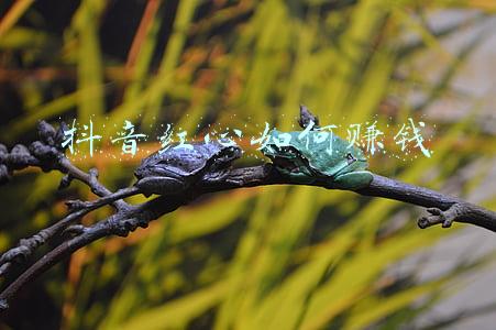 抖音一个红心多少钱(一天封3973个账号，抖音终于对炫富视频动手了)