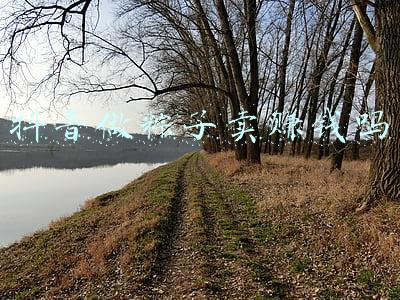 自己做粽子卖赚钱吗(夫妻二人创业卖粽子，粽子软滑受好评，一年收益30万)