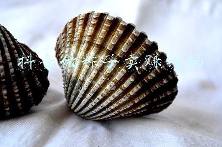 卖竹筒粽子能赚钱吗(一千元投资做竹筒粽子月赚一万元，农村小夫妻辛苦半年后买车)
