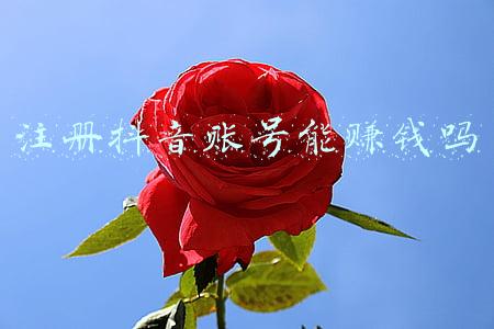 注册抖音账号必须要手机号吗(抖音零粉丝起账号5步养成法及账号提权秘籍)