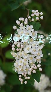 麻辣烫怎么做营销《麻辣烫怎么做营销方案》