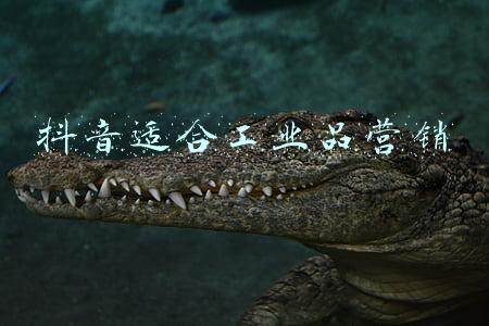 工业品营销研究院(大客户管理的概念或者方案)