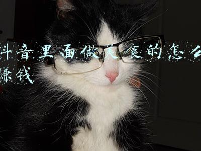 抖音制作美食靠什么赚钱(抖音做菜3个月涨粉744万！美食赛道持续爆发的秘密是什么？)