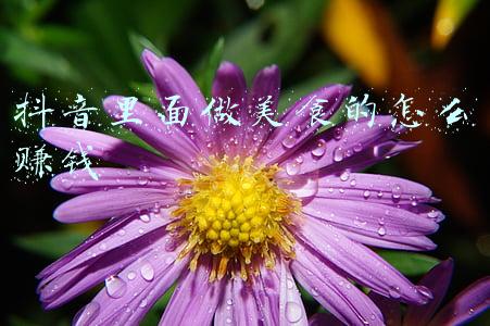 微博美食博主怎么赚钱(吃喝玩乐、拥有150万粉丝，这名资深旅游博主凭啥吃香喝辣)