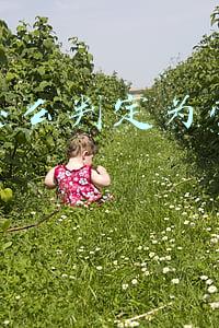 微信被判定为营销号(注意！这类公众号被微信整改！严重违规将被封号)