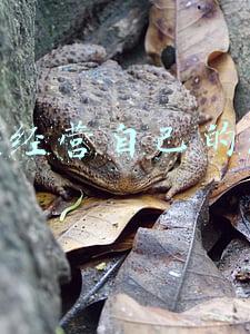 人生与经营的原点 人生与经营的原点读后感