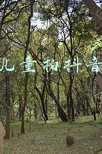 利用儿童拍抖音赚钱