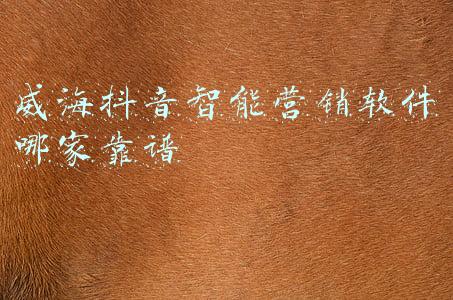 威海抖音智能营销软件哪家靠谱
