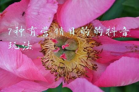 营销新玩法(「2021年度突破营销」这一年，新消费品牌想出圈离不开这6种玩法)