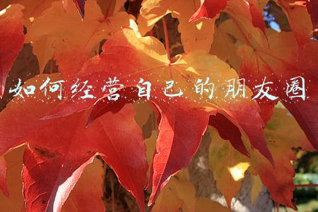 如何经营自己的朋友圈让他真正为成长助益-你打算如何经营你的朋友圈让它真正为成长助力