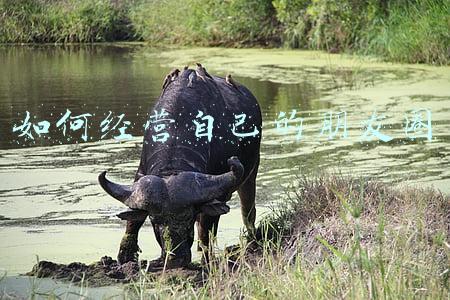 疫情期间如何经营自己的朋友圈，疫情期间做生意的怎么发朋友圈