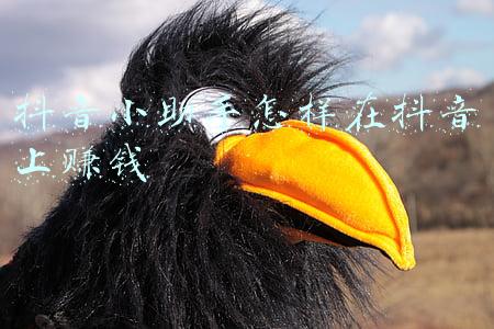 抖音小助手怎样在抖音上赚钱