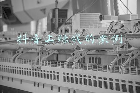 抖音上赚钱的案例